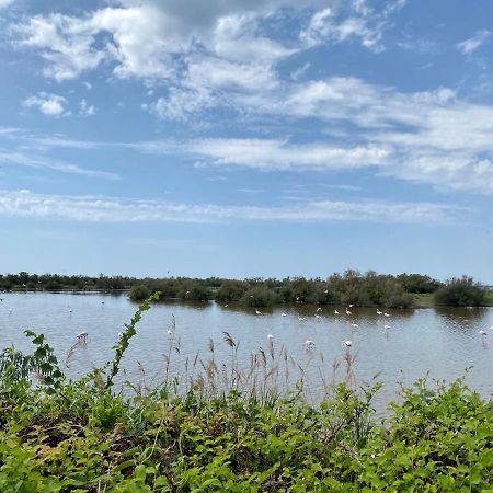 NEW Jungle Lake - Clim - WIFI - Draps&serviettes - BBQ - 10' des plages Lattes Eksteriør bilde