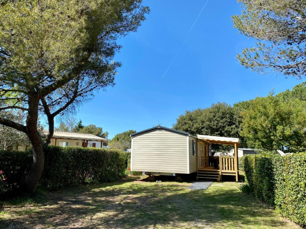 NEW Jungle Lake - Clim - WIFI - Draps&serviettes - BBQ - 10' des plages Lattes Eksteriør bilde
